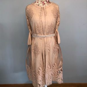 Light Pink Lace Net Pakistani/Indian Shalwar Kameez Dress